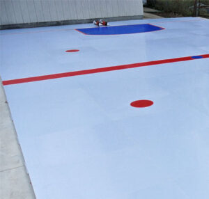 SmartRink Synthetic Ice